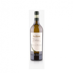 FIANO