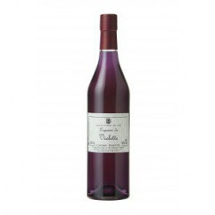 Violetta