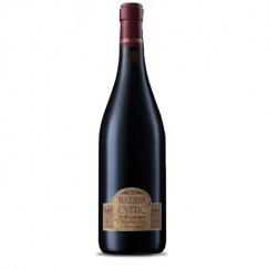 Montepulciano d'Abruzzo - Masciarelli