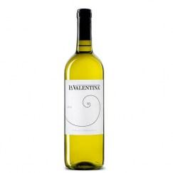 trebbiano_doc