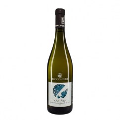 verdicchio-dei-castelli-di-jesi-cantaro-broccanera-2014_18015