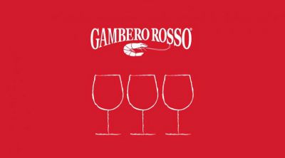 I migliori vini italiani - Tre bicchieri 2009 Guida ai vini d'Italia Gambero Rosso - Slow Food